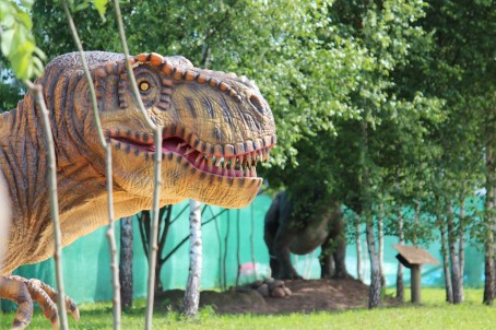 День с динозаврами в литовском «Парке динозавров» (3 перс., Вильнюс)