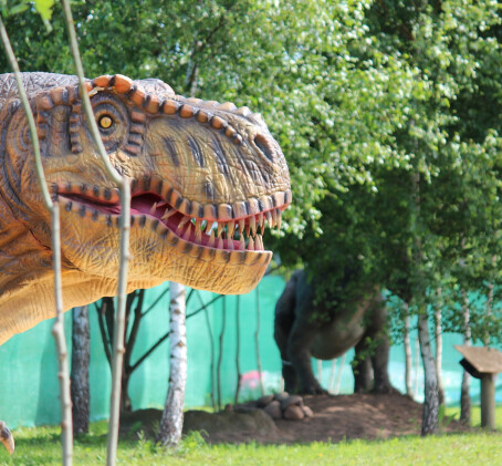 Diena ar dinozauriem "Dinozauru parkā" Lietuvā (3 pers., Viļņa)