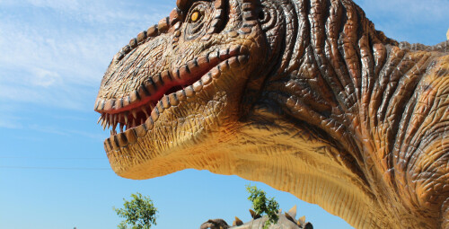 День с динозаврами в литовском «Парке динозавров» (3 перс., Вильнюс) #4