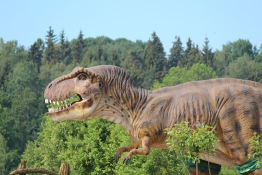 День с динозаврами в литовском «Парке динозавров» (4 перс., Вильнюс) #3
