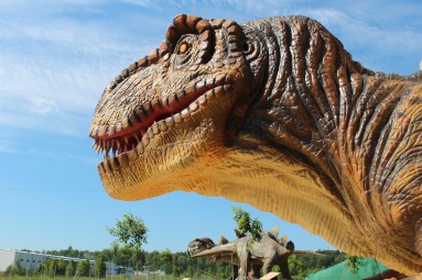 День с динозаврами в литовском «Парке динозавров» (4 перс., Вильнюс) #4