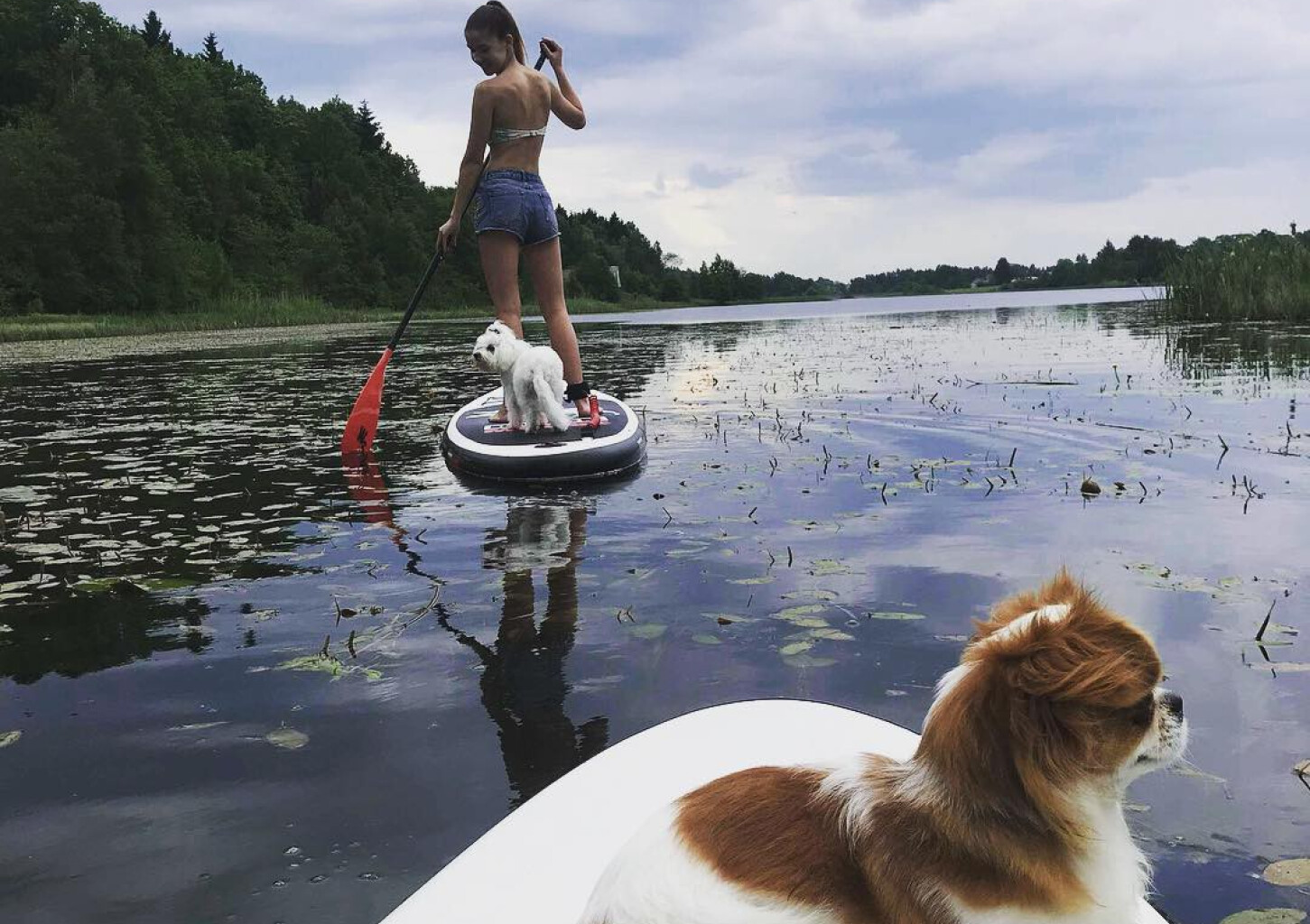 Аренда доски WILD SUP (1ч)