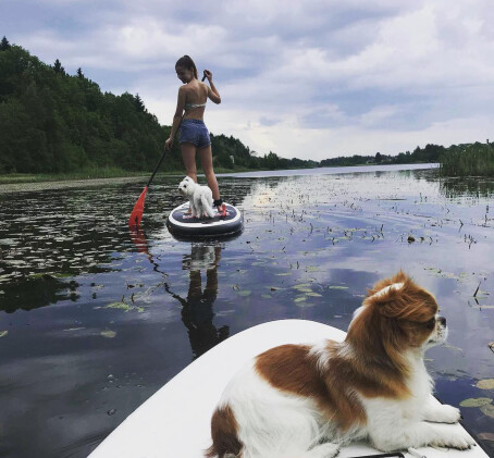 WILD SUP dēļa noma (1h)