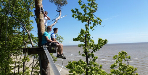 Тропы приключений в Парке приключений Валгеранна #4