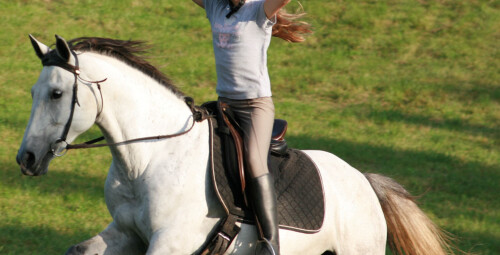 Vispārēji atveseļojošas jāšanas