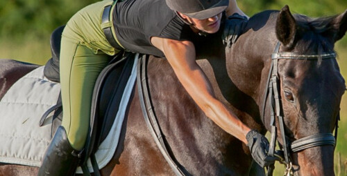 Vispārēji atveseļojošas jāšanas