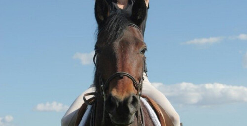 Vispārēji atveseļojošas jāšanas