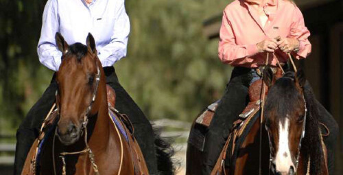 Vispārēji atveseļojošas jāšanas