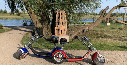 Brauciens ar CITYCOCO elektroskūteri #6