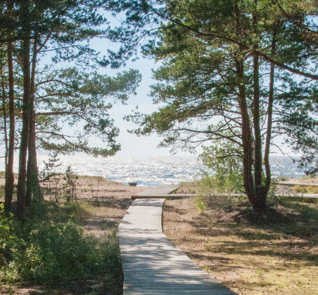 Фото квест в Салукрасты
