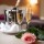 Романтический отдых в Hotel Sigulda с вином и завтраком для двоих