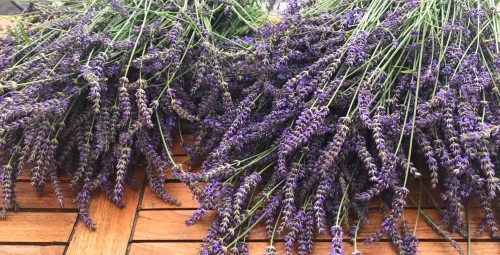 Aromterapijas masāža prātam un sirdij Mārcienas muižā (2 pers.)