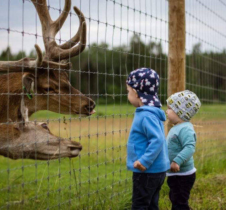 Z/S „Dobelnieki“ Briežu dārza apmeklējums un minigolfs (2 pieaugušie + 4 bērni) 