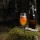 Ekskursija un alus degustācija (līdz 10 pers.)