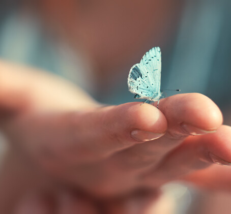 Нежный массаж "Прикосновение бабочки"