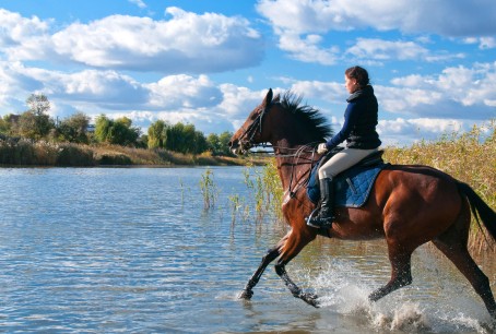 Jāšanas un zirgu apkopes apmācības kurss (5 nodarbības)