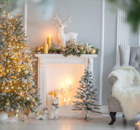 Ziemassvētku fotosesija ar tematiskām dekorācijām (1h)