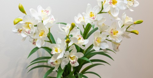 Vasaras brīnuma uzburšana L SANTE salonā