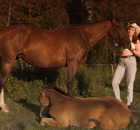 Романтическая прогулка верхом по лесу