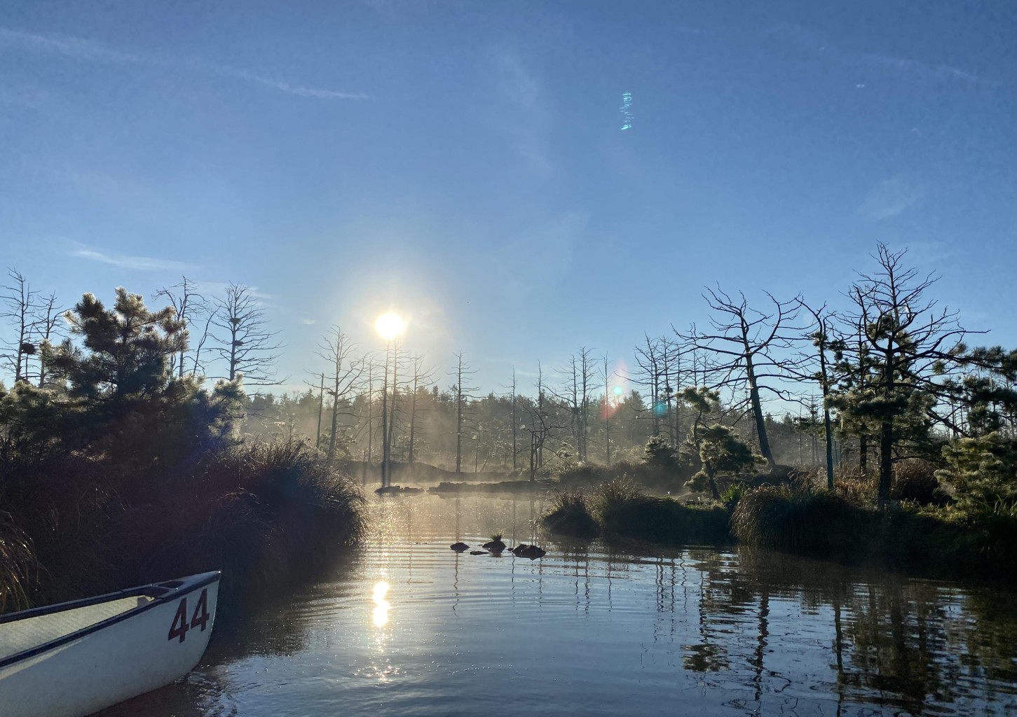 Сплав на лодке по Зеленому болоту Смарде (2 перc.)