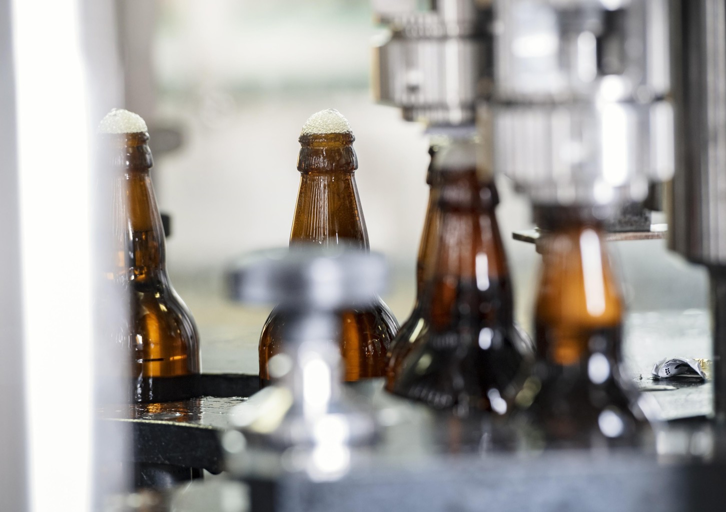 Ekskursija un degustācija alus darītavā "TĒRVETE" (līdz 10 pers.)