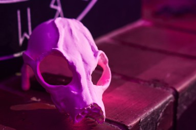 Ekstrasensa rezidence: mistisks kvests Rīgā – Doordom.lv