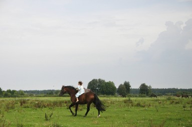 Rāma pastaiga zirga mugurā Pierīgā vienam