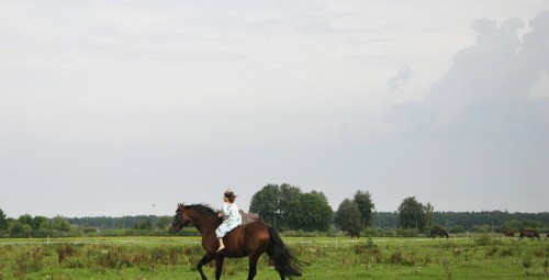 Rāma pastaiga zirga mugurā Pierīgā vienam