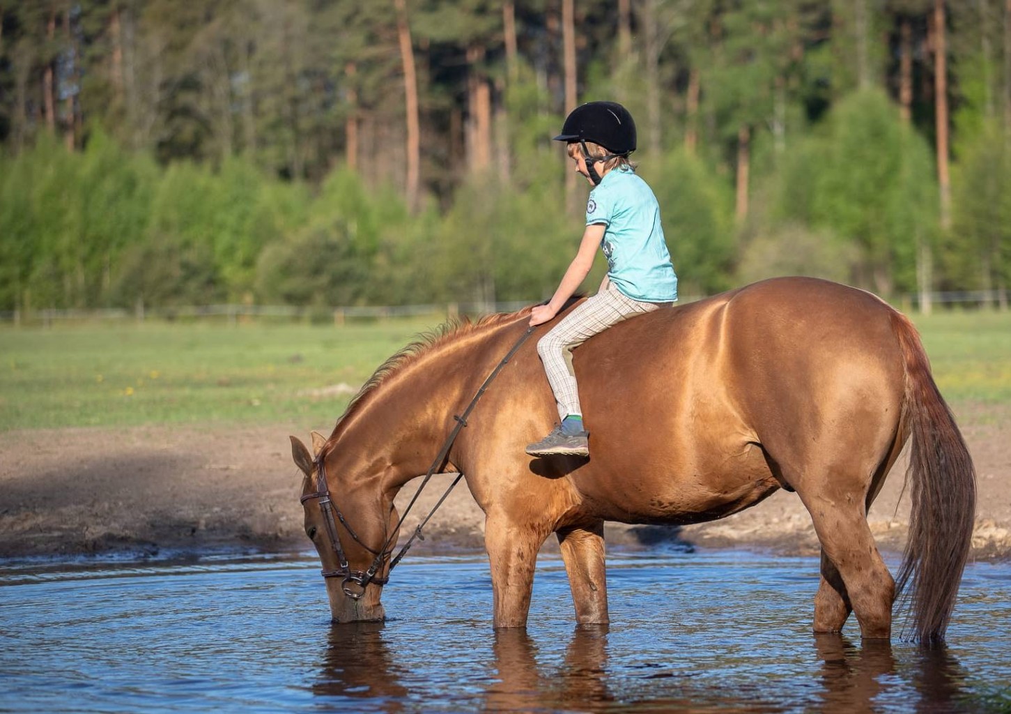 Rāma pastaiga zirga mugurā Pierīgā vienam
