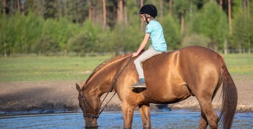 Rāma pastaiga zirga mugurā Pierīgā vienam