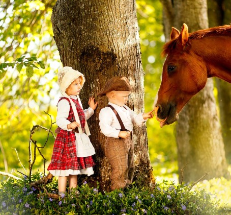 Fotosesija ar dzīvniekiem zirgu sētā "Dārziņi"