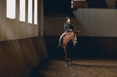 Jāšanas pamatkursi zirgu sētā 