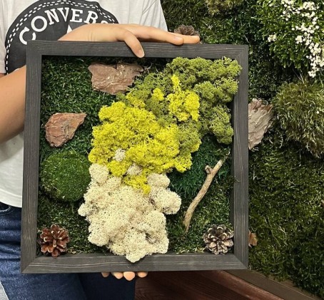 Эко-арт мастер-класс от «Moss Art Studio»: квадратная картина из мха