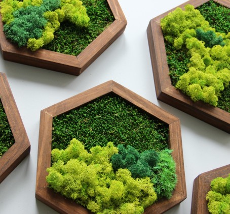 Эко-арт мастер-класс от «Moss Art Studio»: картины из мха в виде сот