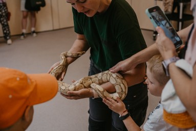 Pārsteidzoša ekskursija  