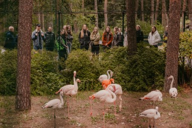 Rīga ZOO abonements ĢIMENEI