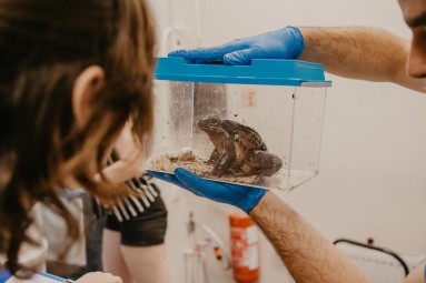 Веселый и познавательный день рождения в Rīga ZOO