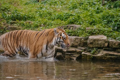 Веселый и познавательный день рождения в Rīga ZOO