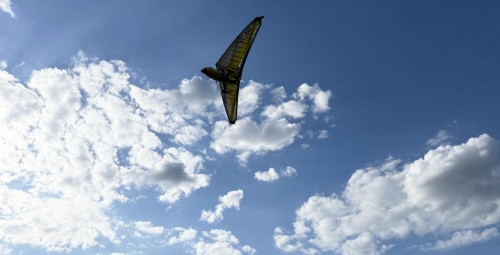 Полет на дельтаплане над Ригой + ФОТО (15 мин.)