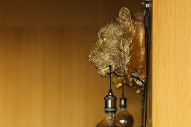 Premium rituāls vīrietim – Iron Heaven Barbershop