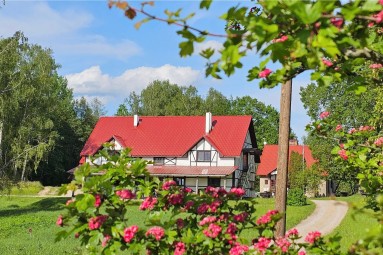 Romantisks pārgājiens ar zirgiem diviem Latgalē (8km) 
