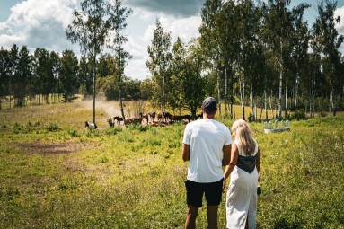 Romantisks pārgājiens ar zirgiem diviem Latgalē (8km) 