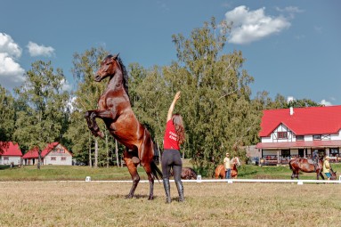 Подарочная карта конного двора KLAJUMI