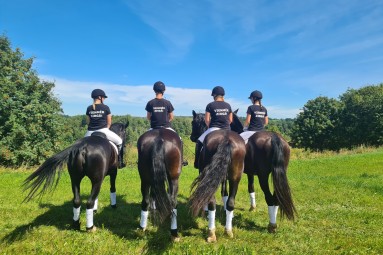 Подарочная карта конного двора KLAJUMI