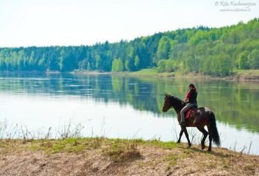 Подарочная карта конного двора KLAJUMI