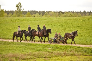 Подарочная карта конного двора KLAJUMI