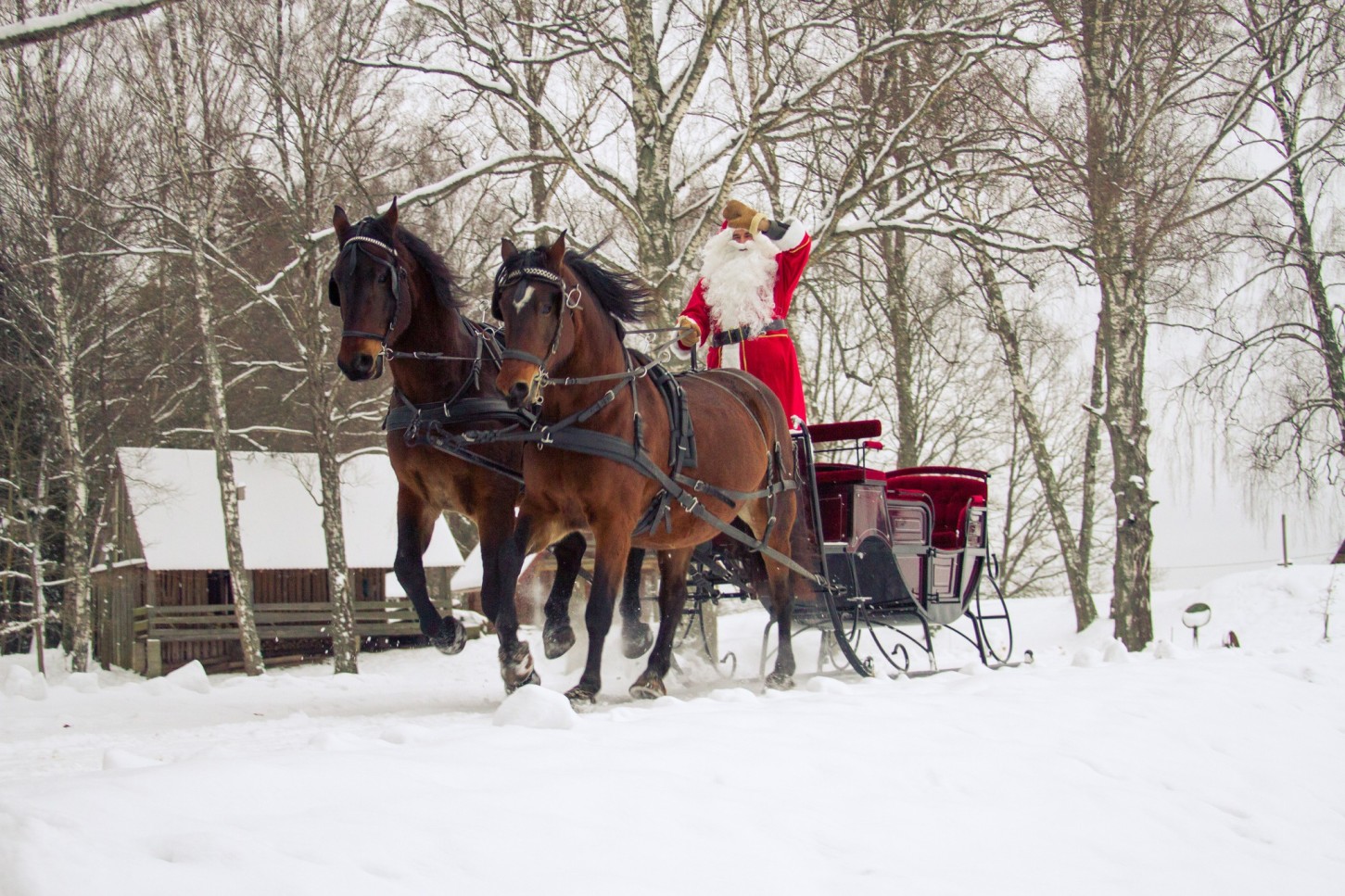 Ziemassvētku pasaka Augšdaugavā – zirgu sētā KLAJUMI