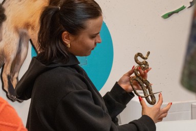 Rīga ZOO: пикантная экскурсия «Зверски сексуально/ Гон» 18+