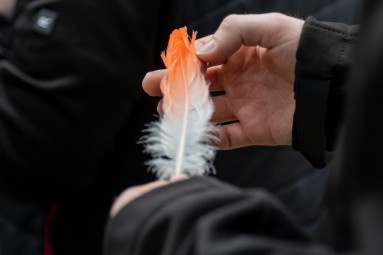 Rīga ZOO: пикантная экскурсия «Зверски сексуально/ Гон» 18+