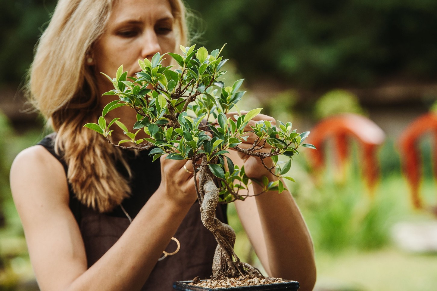 Bonsai veidošanas meistarklase – dzīva māksla Tavās rokās